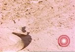 Standbild Snake Afrika südlich der Sahara, 1958, aus Sekunde 40 historischem Filmmaterial Videoclip 65675058728