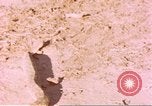 Standbild Snake Afrika südlich der Sahara, 1958, aus Sekunde 42 historischem Filmmaterial Videoclip 65675058728