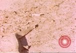 Standbild Snake Afrika südlich der Sahara, 1958, aus Sekunde 43 historischem Filmmaterial Videoclip 65675058728
