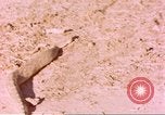 Standbild Snake Afrika südlich der Sahara, 1958, aus Sekunde 45 historischem Filmmaterial Videoclip 65675058728