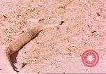 Standbild Snake Afrika südlich der Sahara, 1958, aus Sekunde 46 historischem Filmmaterial Videoclip 65675058728