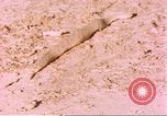Standbild Snake Afrika südlich der Sahara, 1958, aus Sekunde 50 historischem Filmmaterial Videoclip 65675058728