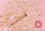 Standbild Snake Afrika südlich der Sahara, 1958, aus Sekunde 51 historischem Filmmaterial Videoclip 65675058728