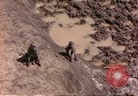 Standbild Affen Afrika südlich der Sahara, 1958, aus Sekunde 1 historischem Filmmaterial Videoclip 65675058729