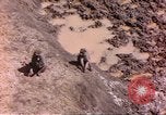 Standbild Affen Afrika südlich der Sahara, 1958, aus Sekunde 3 historischem Filmmaterial Videoclip 65675058729