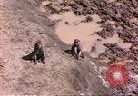 Standbild Affen Afrika südlich der Sahara, 1958, aus Sekunde 4 historischem Filmmaterial Videoclip 65675058729