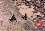Standbild Affen Afrika südlich der Sahara, 1958, aus Sekunde 7 historischem Filmmaterial Videoclip 65675058729