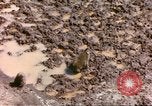 Standbild Affen Afrika südlich der Sahara, 1958, aus Sekunde 10 historischem Filmmaterial Videoclip 65675058729