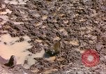 Standbild Affen Afrika südlich der Sahara, 1958, aus Sekunde 12 historischem Filmmaterial Videoclip 65675058729