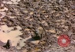 Standbild Affen Afrika südlich der Sahara, 1958, aus Sekunde 13 historischem Filmmaterial Videoclip 65675058729