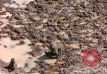 Standbild Affen Afrika südlich der Sahara, 1958, aus Sekunde 14 historischem Filmmaterial Videoclip 65675058729
