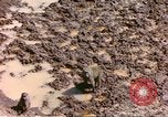Standbild Affen Afrika südlich der Sahara, 1958, aus Sekunde 15 historischem Filmmaterial Videoclip 65675058729