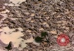 Standbild Affen Afrika südlich der Sahara, 1958, aus Sekunde 16 historischem Filmmaterial Videoclip 65675058729