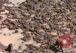 Standbild Affen Afrika südlich der Sahara, 1958, aus Sekunde 17 historischem Filmmaterial Videoclip 65675058729