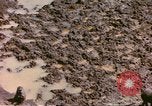Standbild Affen Afrika südlich der Sahara, 1958, aus Sekunde 18 historischem Filmmaterial Videoclip 65675058729