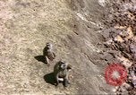 Standbild Affen Afrika südlich der Sahara, 1958, aus Sekunde 22 historischem Filmmaterial Videoclip 65675058729