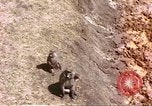 Standbild Affen Afrika südlich der Sahara, 1958, aus Sekunde 23 historischem Filmmaterial Videoclip 65675058729
