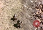 Standbild Affen Afrika südlich der Sahara, 1958, aus Sekunde 24 historischem Filmmaterial Videoclip 65675058729