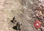 Standbild Affen Afrika südlich der Sahara, 1958, aus Sekunde 27 historischem Filmmaterial Videoclip 65675058729