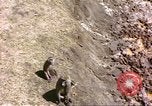 Standbild Affen Afrika südlich der Sahara, 1958, aus Sekunde 28 historischem Filmmaterial Videoclip 65675058729