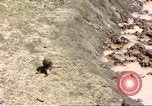 Standbild Affen Afrika südlich der Sahara, 1958, aus Sekunde 38 historischem Filmmaterial Videoclip 65675058729