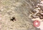 Standbild Affen Afrika südlich der Sahara, 1958, aus Sekunde 39 historischem Filmmaterial Videoclip 65675058729