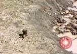 Standbild Affen Afrika südlich der Sahara, 1958, aus Sekunde 41 historischem Filmmaterial Videoclip 65675058729