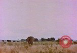 Standbild Elefanten Afrika südlich der Sahara, 1958, aus Sekunde 3 historischem Filmmaterial Videoclip 65675058730