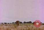 Standbild Elefanten Afrika südlich der Sahara, 1958, aus Sekunde 4 historischem Filmmaterial Videoclip 65675058730