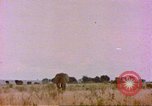 Standbild Elefanten Afrika südlich der Sahara, 1958, aus Sekunde 5 historischem Filmmaterial Videoclip 65675058730