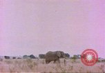 Standbild Elefanten Afrika südlich der Sahara, 1958, aus Sekunde 11 historischem Filmmaterial Videoclip 65675058730