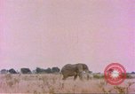 Standbild Elefanten Afrika südlich der Sahara, 1958, aus Sekunde 15 historischem Filmmaterial Videoclip 65675058730