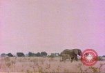 Standbild Elefanten Afrika südlich der Sahara, 1958, aus Sekunde 17 historischem Filmmaterial Videoclip 65675058730