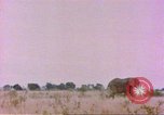 Standbild Elefanten Afrika südlich der Sahara, 1958, aus Sekunde 18 historischem Filmmaterial Videoclip 65675058730