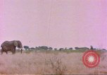 Standbild Elefanten Afrika südlich der Sahara, 1958, aus Sekunde 20 historischem Filmmaterial Videoclip 65675058730