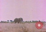 Standbild Elefanten Afrika südlich der Sahara, 1958, aus Sekunde 25 historischem Filmmaterial Videoclip 65675058730