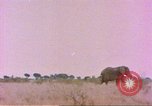 Standbild Elefanten Afrika südlich der Sahara, 1958, aus Sekunde 31 historischem Filmmaterial Videoclip 65675058730