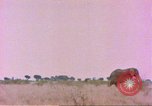 Standbild Elefanten Afrika südlich der Sahara, 1958, aus Sekunde 32 historischem Filmmaterial Videoclip 65675058730