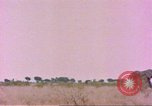 Standbild Elefanten Afrika südlich der Sahara, 1958, aus Sekunde 34 historischem Filmmaterial Videoclip 65675058730