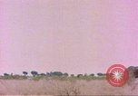 Standbild Elefanten Afrika südlich der Sahara, 1958, aus Sekunde 35 historischem Filmmaterial Videoclip 65675058730