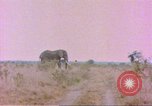 Standbild Elefanten Afrika südlich der Sahara, 1958, aus Sekunde 37 historischem Filmmaterial Videoclip 65675058730