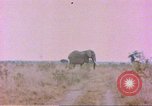 Standbild Elefanten Afrika südlich der Sahara, 1958, aus Sekunde 40 historischem Filmmaterial Videoclip 65675058730