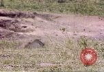 Standbild Rhinoceros Afrika südlich der Sahara, 1958, aus Sekunde 6 historischem Filmmaterial Videoclip 65675058732