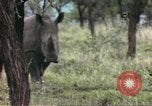 Standbild Rhinoceros Afrika südlich der Sahara, 1958, aus Sekunde 56 historischem Filmmaterial Videoclip 65675058732