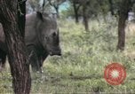 Standbild Rhinoceros Afrika südlich der Sahara, 1958, aus Sekunde 59 historischem Filmmaterial Videoclip 65675058732