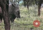 Standbild Rhinoceros Afrika südlich der Sahara, 1958, aus Sekunde 60 historischem Filmmaterial Videoclip 65675058732