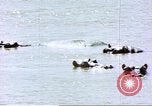 Image hippopotames l Afrique sub-saharienne, 1958, de la seconde 3 séquences d'archives historiques vidéo 65675058733