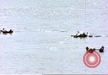 Image hippopotames l Afrique sub-saharienne, 1958, de la seconde 5 séquences d'archives historiques vidéo 65675058733