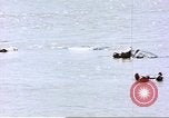 Image hippopotames l Afrique sub-saharienne, 1958, de la seconde 6 séquences d'archives historiques vidéo 65675058733