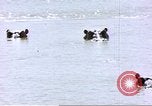 Image hippopotames l Afrique sub-saharienne, 1958, de la seconde 10 séquences d'archives historiques vidéo 65675058733